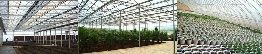 濟寧鑫欣超聲電子設(shè)備有限公司