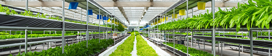 濟寧鑫欣超聲電子設備有限公司